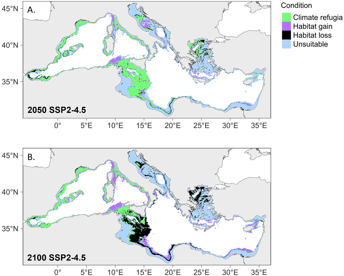 Fig. 5 Refer to the following caption and surrounding text.