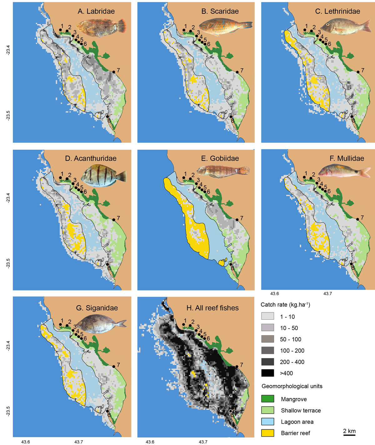 Fig. 6 Refer to the following caption and surrounding text.